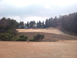 120130-3.jpg