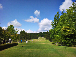 130616musashi1.jpg