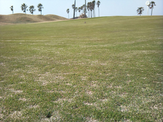 2012-03-28-04.jpg