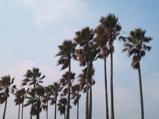 2012-03-28-06.jpg