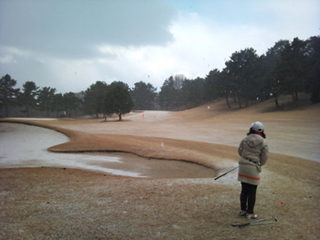 20120218-2.jpg