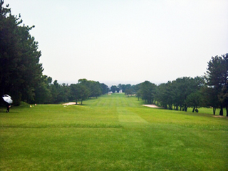 ogc_0727_1.jpg